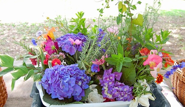 232323232fp635_4_nu=3245_;;;_386_WSNRCG=363;4;3569329nu0mrj[1]